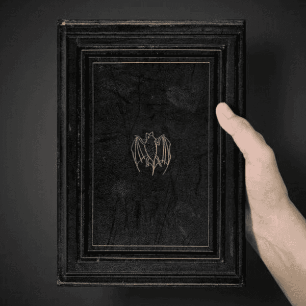 Livro! Drácula - Dark Edition - Imagem 3