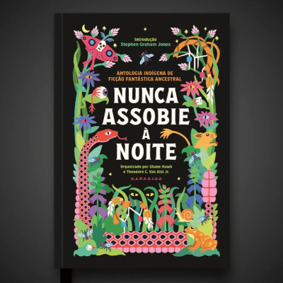 livro.nuncaassobieanoite.01